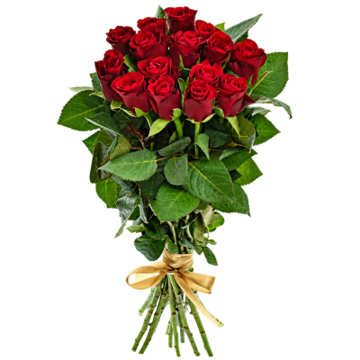 Kyice 15 červených růží RED RIBBON 60cm