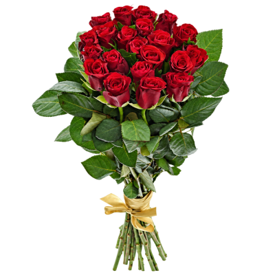 Kyice 21 červených růží RED RIBBON 60cm