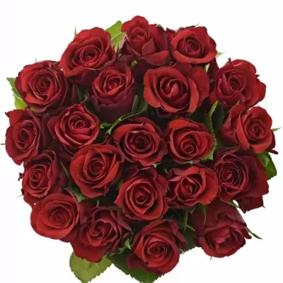 Kytice 21 červených růží RED RIBBON 60cm
