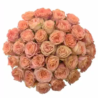 Kytice  35 růží LOVE PEARL 50cm