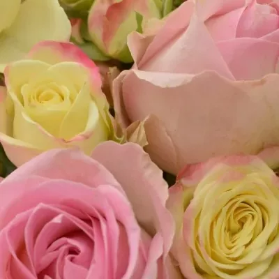 Kytice 10 trsových růží CHRISTIANNA Ø20cm