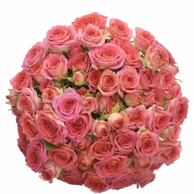 Kytica 100+ kvetov ruží Chime 40cm