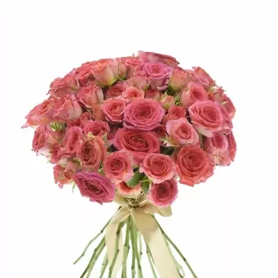 Kytice 100  květů růží CHIMO