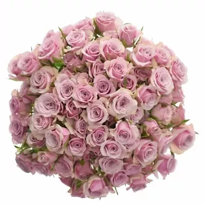 Kytica 100+ kvetov ruží LEILA 50cm