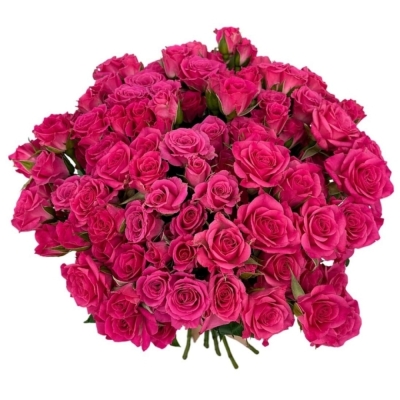 Kytice 100  květů růží LOVELY LYDIA