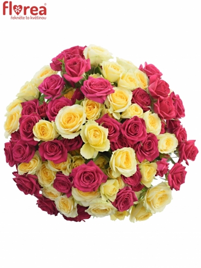 Kytice 100+ květů růží MARYAM 40cm