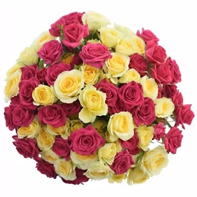 Kytice 100+ květů růží MARYAM 40cm