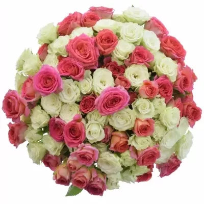Kytice 100+ květů růží MELISA 55cm