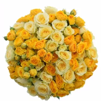 Kytice 100+ květů růží MIRJAM 80cm