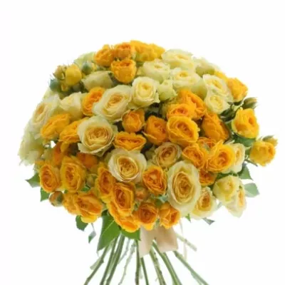 Kytice 100  květů růží MIRJAM