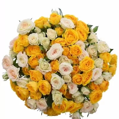 Kytice 100+ květů růží ORISA 40cm