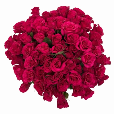 Kytice 100+ květů růží ROSEBERRY 40 cm