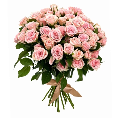 Kytice 100  květů růží SEVERINA