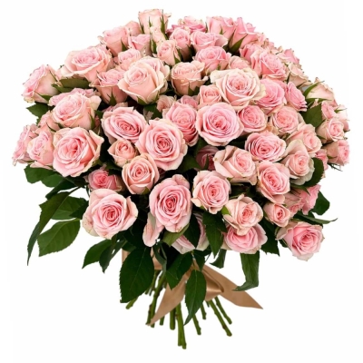 Kytice 100  květů růží SEVERINA