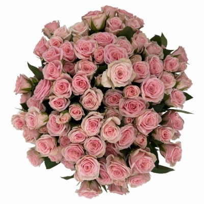 Kytice 100+ květů růží SEVERINA 40 cm