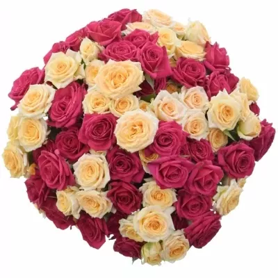 Kytica 100+ kvetov ruží ZINETA 40cm