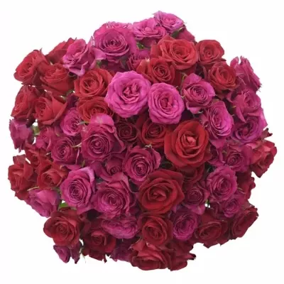 Kytica 100+ kvetov ruží ZOFIA 40cm