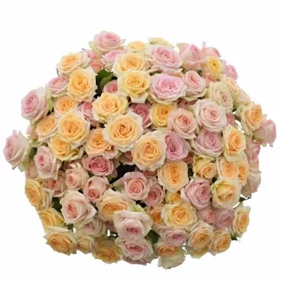 Kytice 100+ květů růží ZOPHIE 40cm
