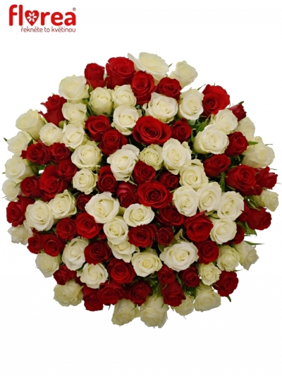 Kytica 100 miešaných ruží AGATHA 40cm