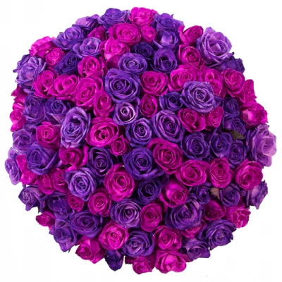 Kytice 100 barvených růží ABDERA