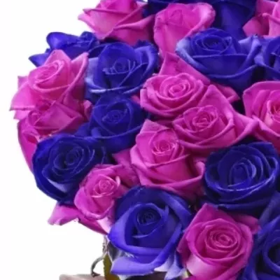 Kytice 100 barvených růží ABDERA