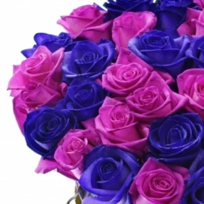 Kytice 100 barvených růží ABDERA