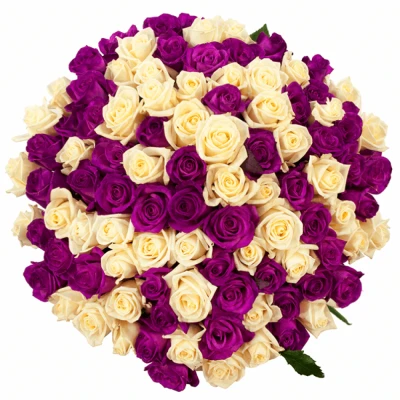 Kytice 100 barvených růží ATLANTA