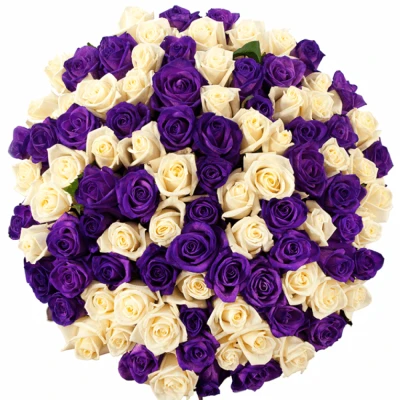 Kytice 100 barvených růží AUGUSTINA