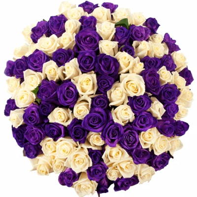 Kytice 100 barvených růží AUGUSTINA