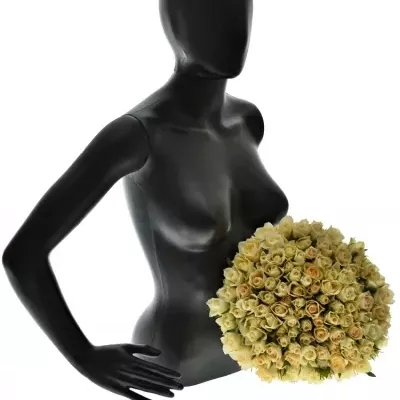 Kytica 100 bielych ruží ANGELA 40cm