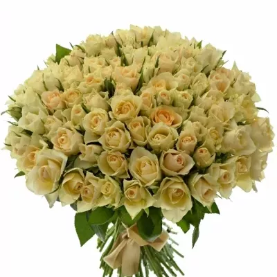 Kytice 100 bílých růží ANGELA 40cm