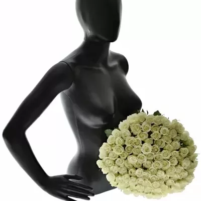 Kytica 100 bielych ruží ASPEN 50cm