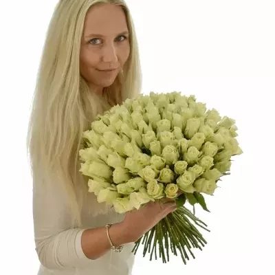Kytice 100 bílých růží ATHENA 50cm