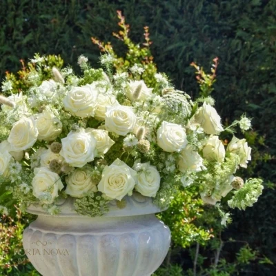 Kytice 100 bílých růží WHITE NAOMI