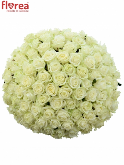 Kytice 100 bílých růží WHITE NAOMI 100cm