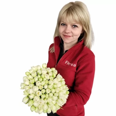 Míchaná kytice 100 bílých tulipánů NORTHCAP 30 cm