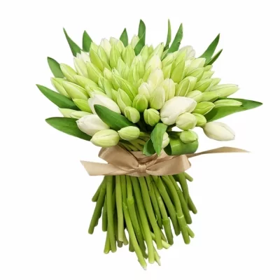Míchaná kytice 100 bílých tulipánů ADRIANE 30 cm