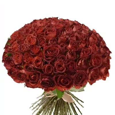 Kytice 100 červenohnědých růží CAFE DEL MAR