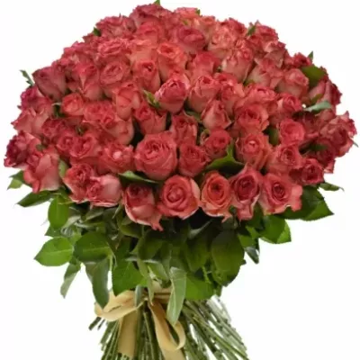 Kytice 100 červených růží BRENDT 50cm