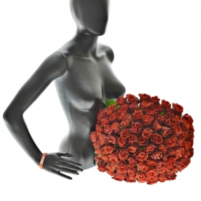 Kytice 100 červených růží Revolution