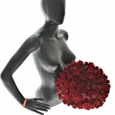 Kytica 100 červených ruží Furioso 60cm