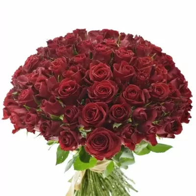 Kytica 100 červených ruží Furioso 60cm