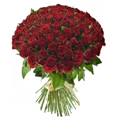 Kytice 100 červených růží MANDY 40cm