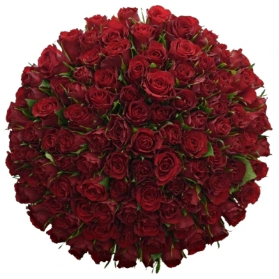 Kytice 100 červených růží MANDY 40cm
