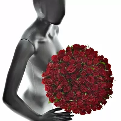 Kytice 100 červených růží MANDY 40cm