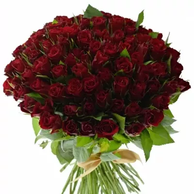Kytice 100 červených růží MERCI 40cm