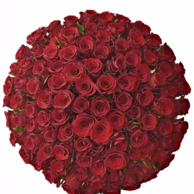 Kytice 100 červených růží MILLION REASONS 40 cm