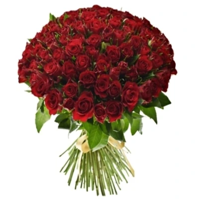 Kytice 100 červených růží RED CALYPSO1