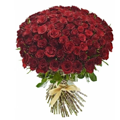 Kytice 100 červených růží RED DRAGON 50cm