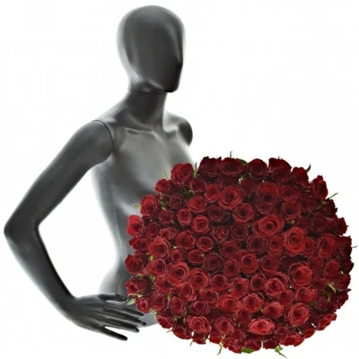 Kytice 100 červených růží RED DRAGON 50cm